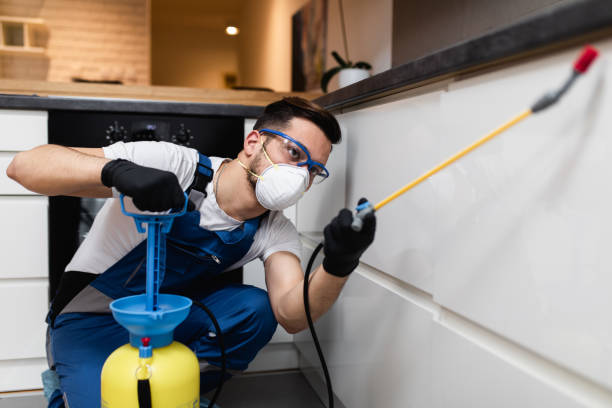 Best Bed Bug Extermination  in Gibraltar, MI