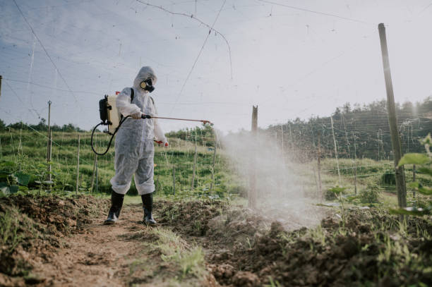 Best Ant Control Services  in Gibraltar, MI