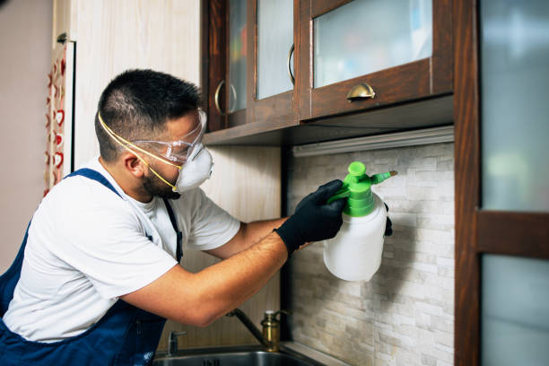 Best Bed Bug Extermination  in Gibraltar, MI