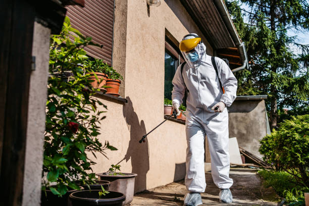 Best Cockroach Control Services  in Gibraltar, MI