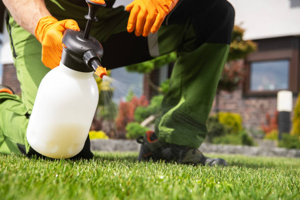 Best Wildlife Control Services  in Gibraltar, MI
