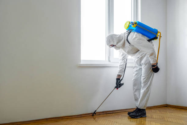 Wasp Removal Services in Gibraltar, MI