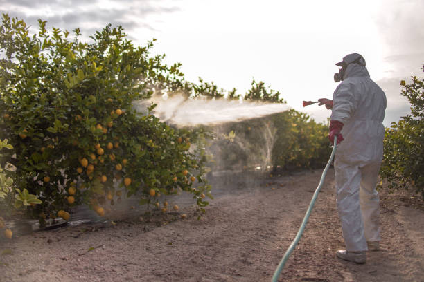  Gibraltar, MI Pest Control Pros