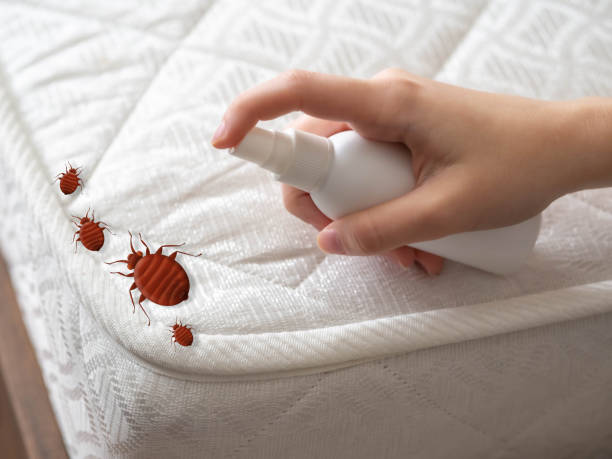 Best Pest Control Near Me  in Gibraltar, MI