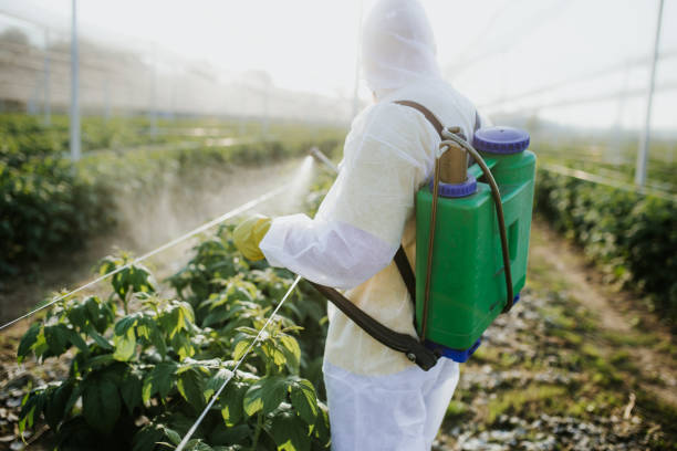 Best Ant Control Services  in Gibraltar, MI